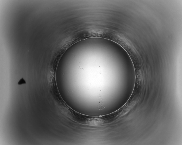 X0000096630463200802051111