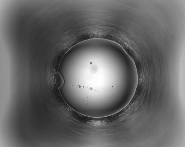 X0000096630464200802051111