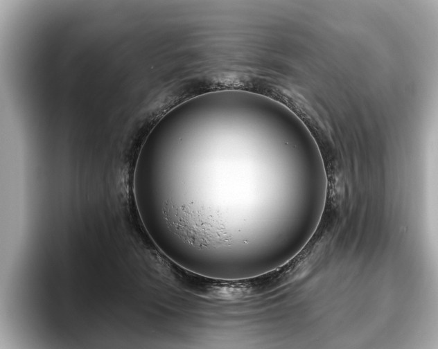 X0000096630466200802051111
