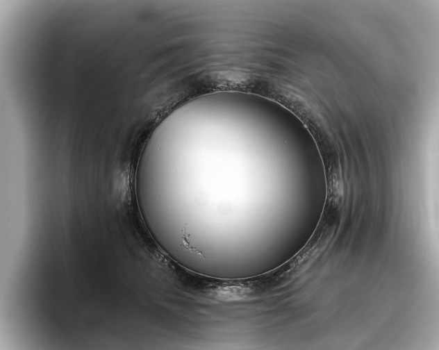 X0000096630468200802051111