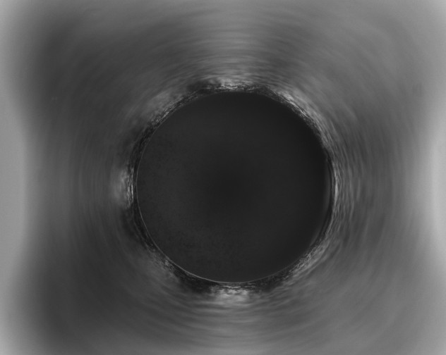 X0000096630471200802051111