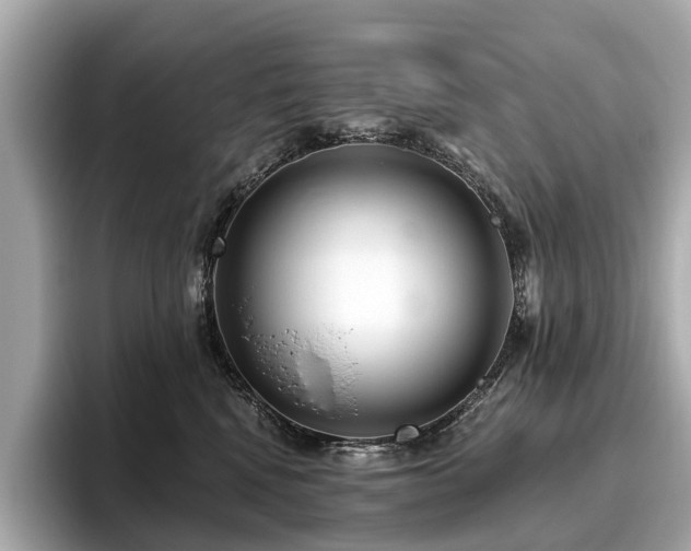 X0000096630472200802051111
