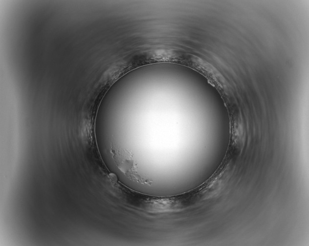X0000096630473200802051111