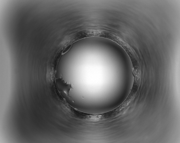 X0000096630474200802051111