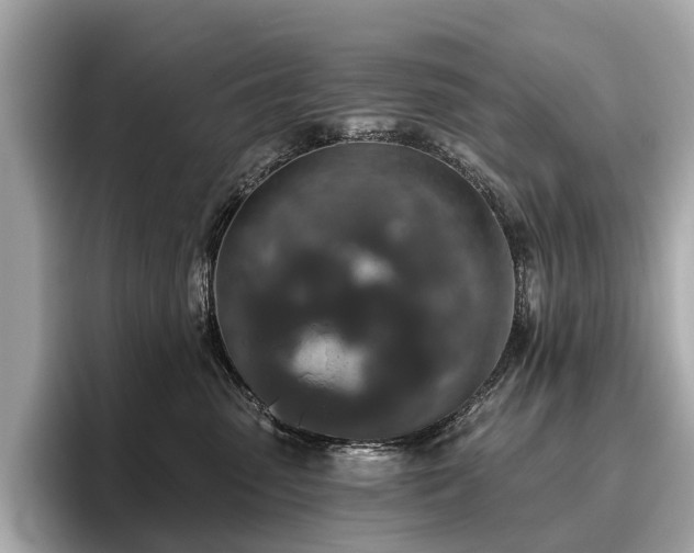 X0000096630475200802051111