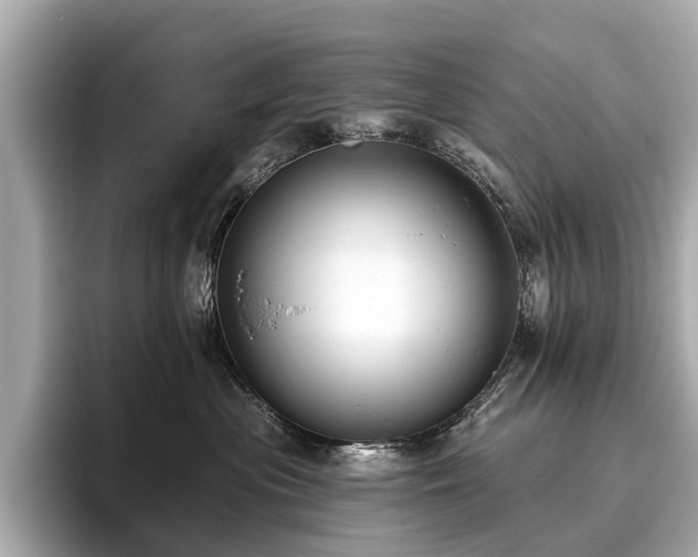 X0000096630477200802051111
