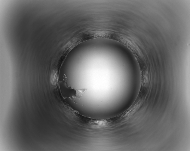 X0000096630478200802051111