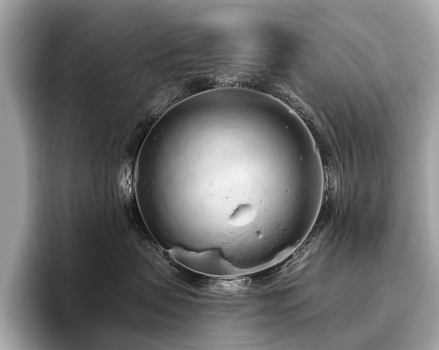 X0000096630479200802051111