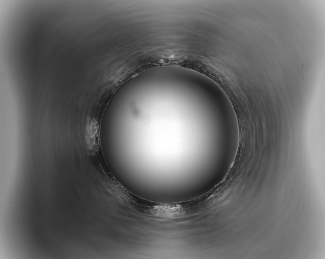 X0000096630480200802051111
