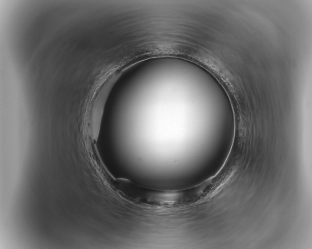 X0000096630481200802051110