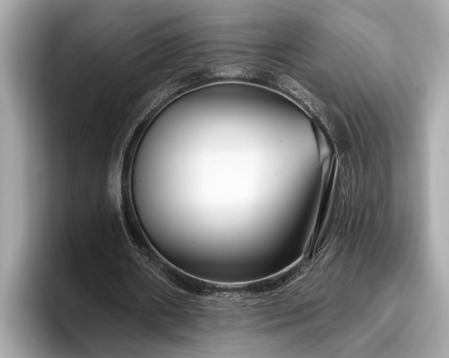 X0000096630482200802051110