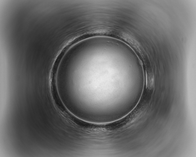 X0000096630483200802051110
