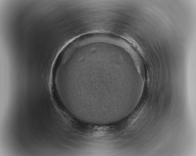 X0000096630484200802051110