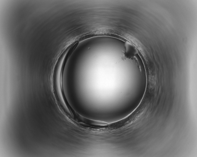 X0000096630485200802051110