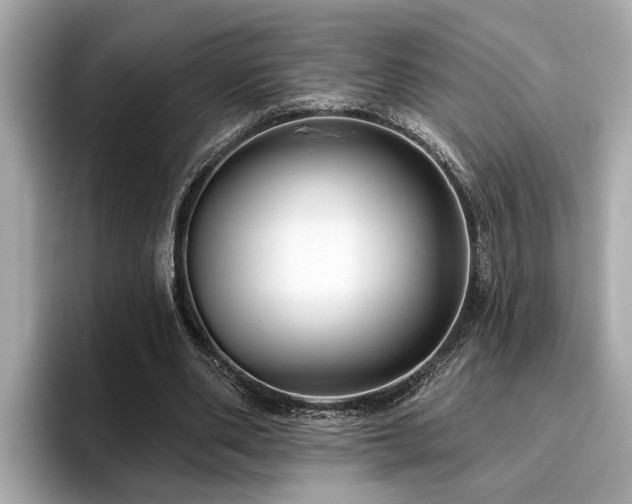 X0000096630486200802051110