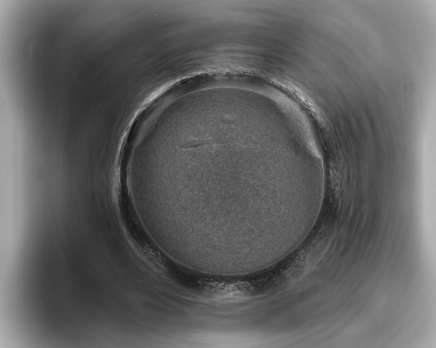X0000096630488200802051110