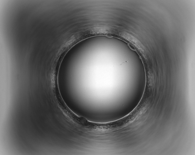 X0000096630489200802051110