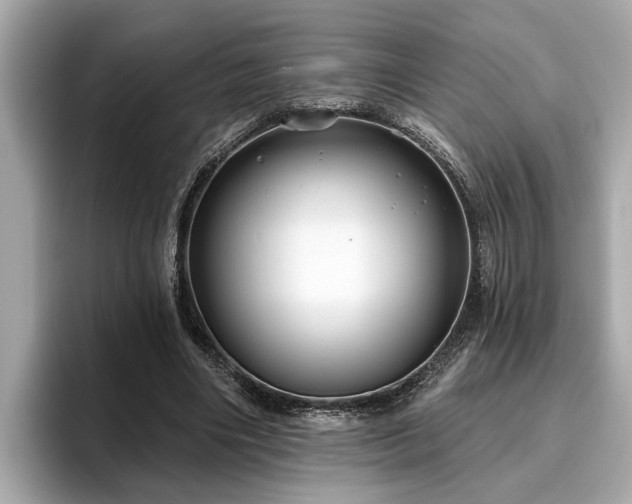 X0000096630490200802051110