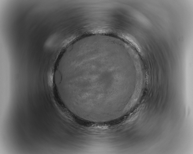 X0000096630491200802051110
