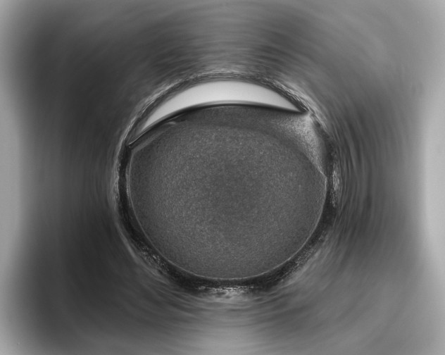 X0000096630492200802051110