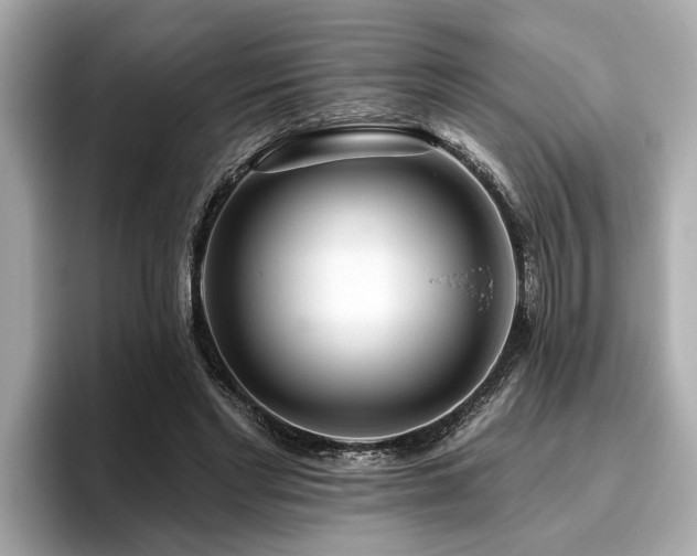 X0000096630493200802051110