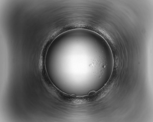 X0000096630494200802051110