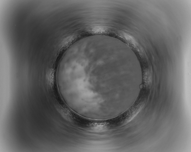 X0000096630495200802051110