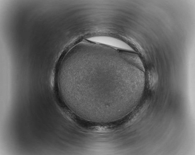 X0000096630496200802051110