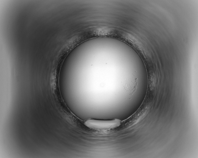 X0000096630497200802051110