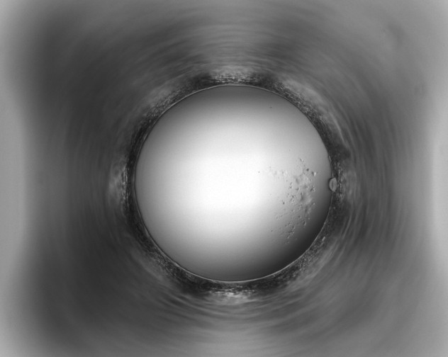 X0000096630498200802051110