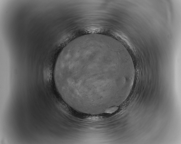 X0000096630499200802051110