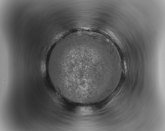 X0000096630500200802051110