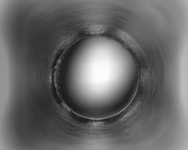 X0000096630501200802051110