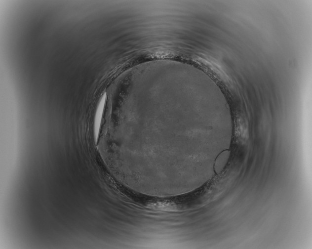 X0000096630503200802051110