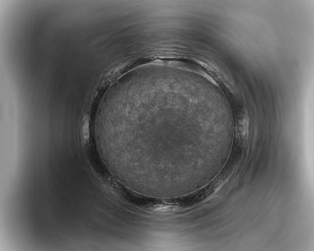 X0000096630504200802051110