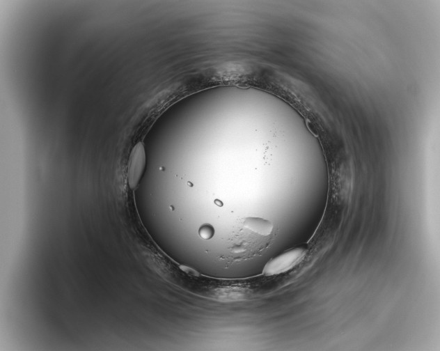 X0000096630505200802051110