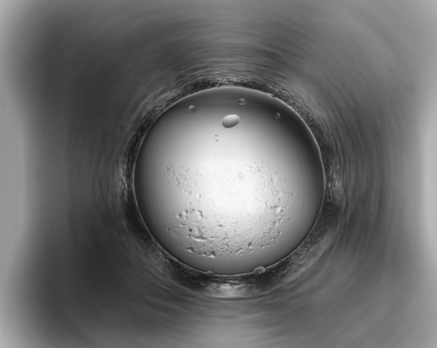 X0000096630506200802051110