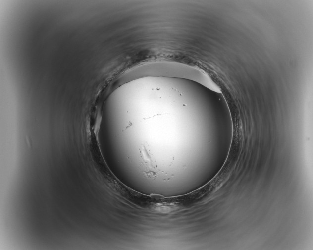 X0000096630508200802051110