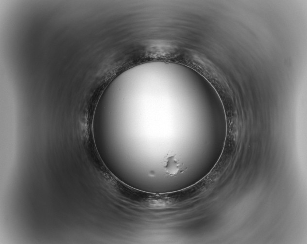 X0000096630510200802051110