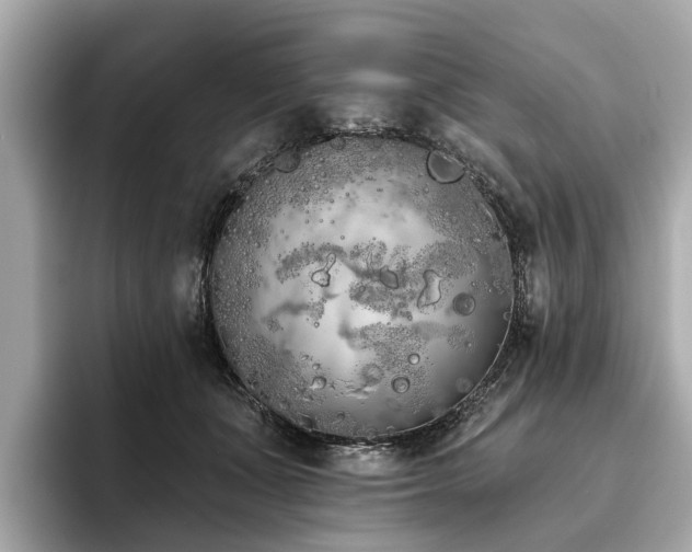 X0000096630511200802051110