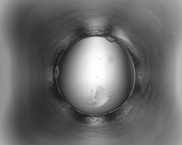 X0000096630512200802051110