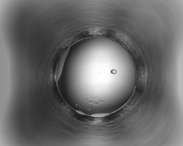 X0000096630513200802051110