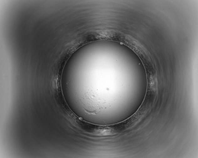 X0000096630514200802051110