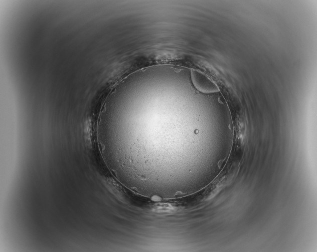 X0000096630519200802051109