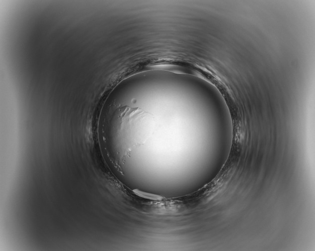 X0000096630524200802051109