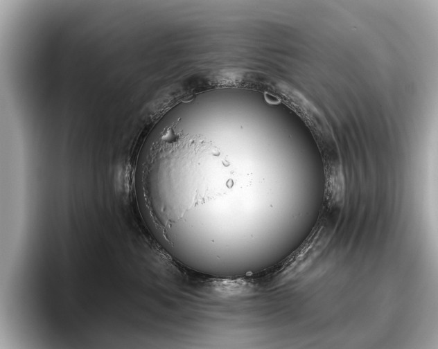 X0000096630525200802051109