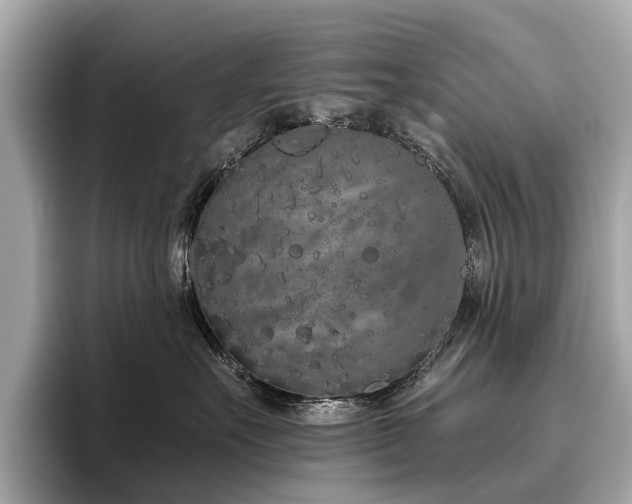 X0000096630527200802051109