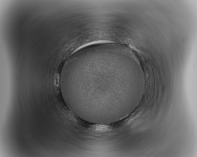 X0000096630528200802051109