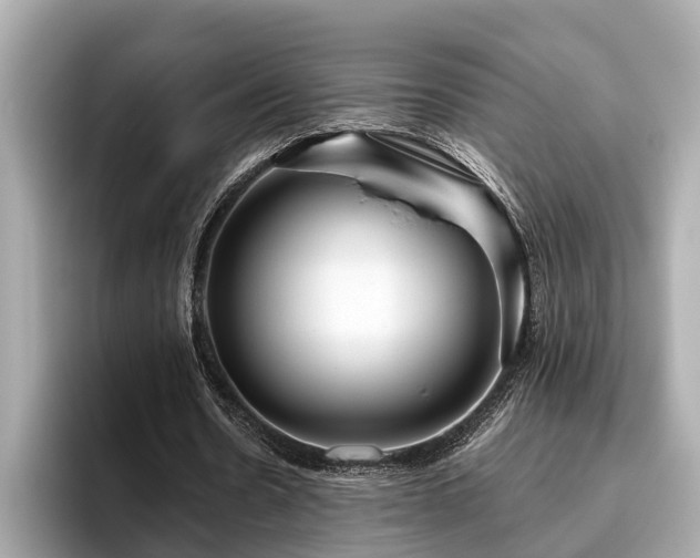 X0000096630530200802051109