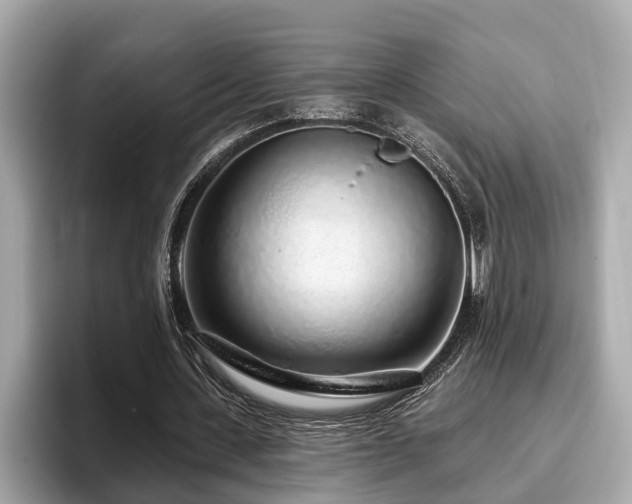 X0000096630531200802051109